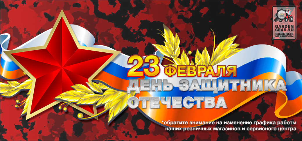 День защитника Отечества