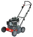 Вертикуттер - аэратор бензиновый Eurosystems SC42 L (ITA, 42 см, Loncin, 123 куб.см., 33 кг)