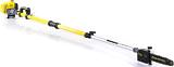 Высоторез бензиновый Champion PP126 12" Pro телескопический (PRC, 26 куб.см., 0,75 кВт/1,0 л.с., 3/8", 1,3 мм., 44E, длина 300-425 см., 9,5 кг.)